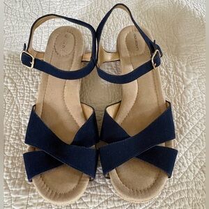 Lands’ End Women’s Sz 10 Blue Strappy Low Wedge Sandals w/ Gold-toned Buckles